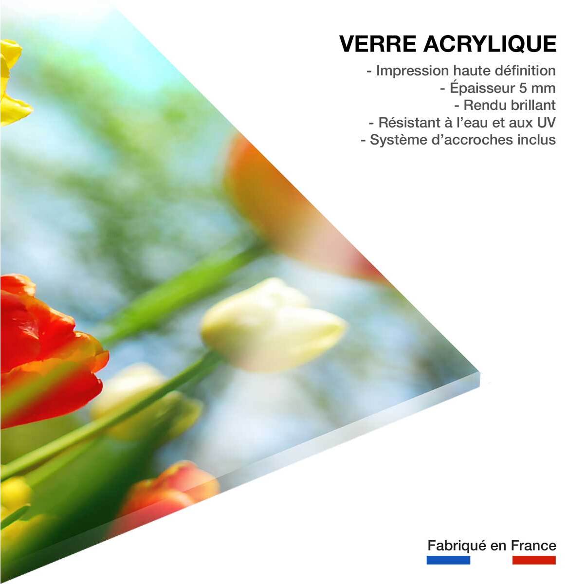 Tableau nature tulipes  Tableau plexiglas