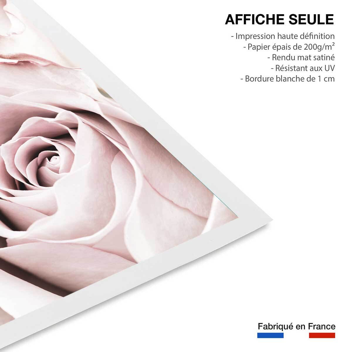 Affiche  rosa romantica Affiche seule