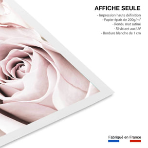 Affiche  rosa romantica Affiche seule