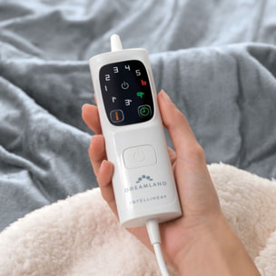 Couverture chauffante DREAMLAND PYJAMA DAYS SHERPA ET VELOURS 6T 160X120