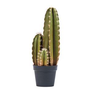 Cactus Artificial Organo 64 Cm