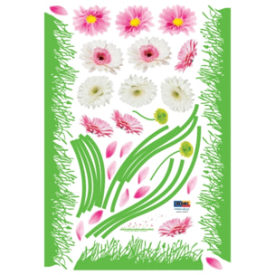 Stickers Muraux décoration adhésifs fleurs Gerbera colorées et herbe