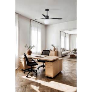 AMELIA L BALL LED Ventilador negro