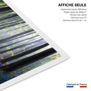 Affiche nature jacinthes et sous-bois Affiche seule