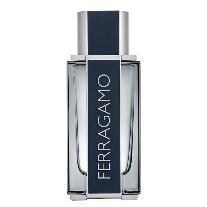 Ferragamo Homme - Eau de Toilette 100 ml