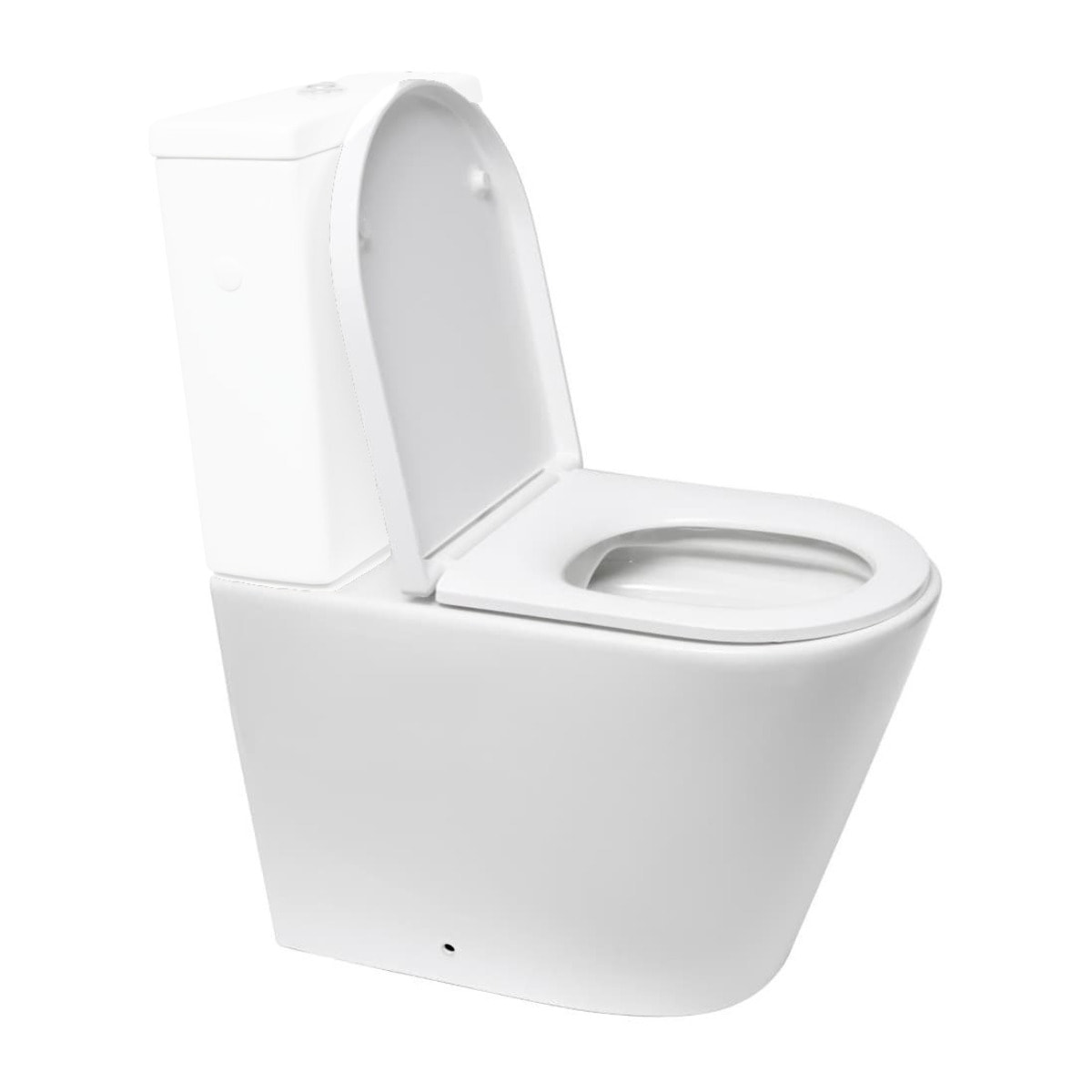 Project cuvette WC à poser sans bride en céramique (réservoir non fourni), blanc (SATPRO31M)