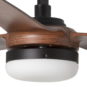 PUNT M LED Ventilateur noir/bois foncé DC