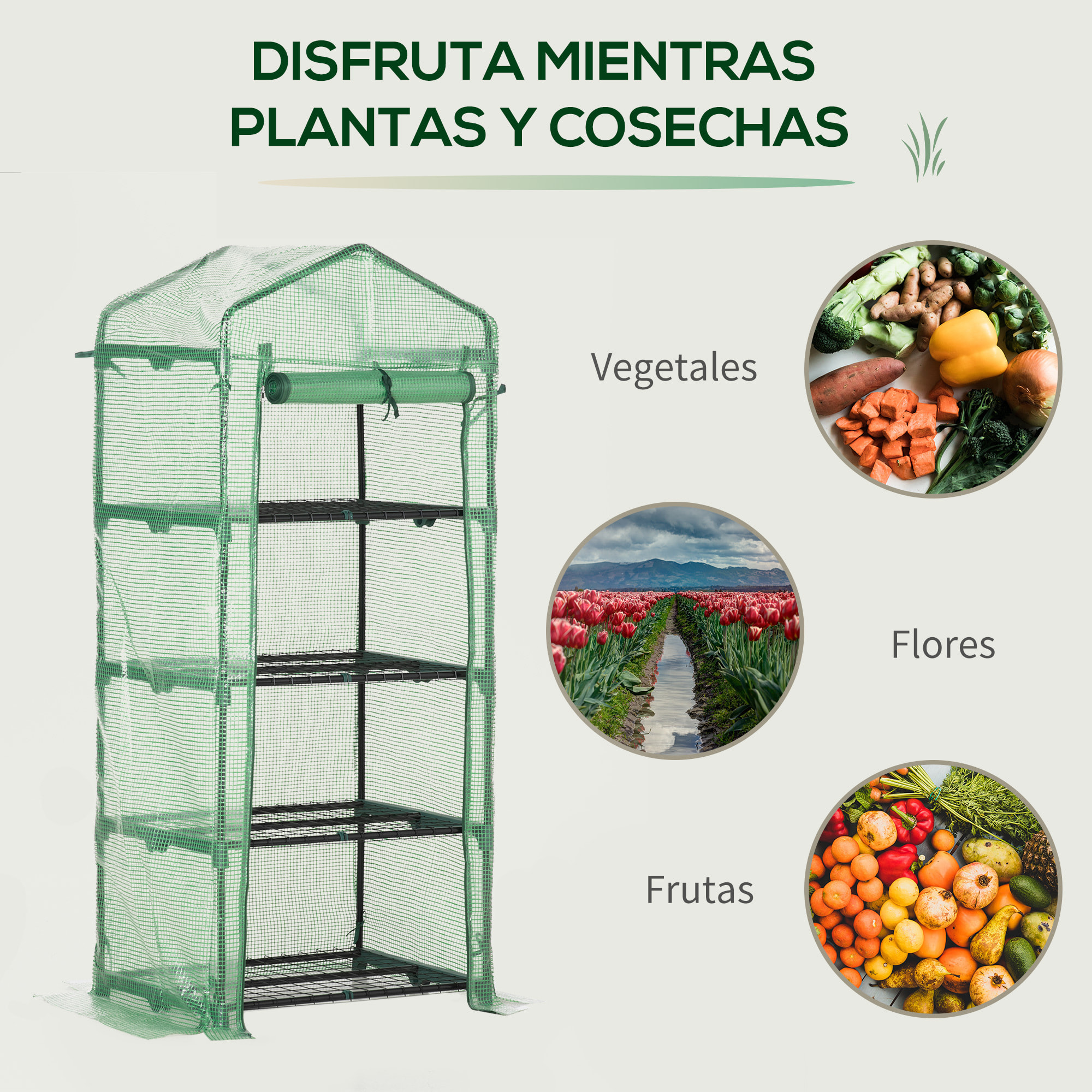 Invernadero de Jardín con 4 Estantes y Cubierta de PE Cultivo de Plantas Verde