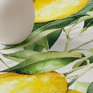 Nappe anti-taches 100% coton Damiano