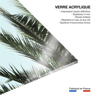 Tableau palme bleue Tableau plexiglas