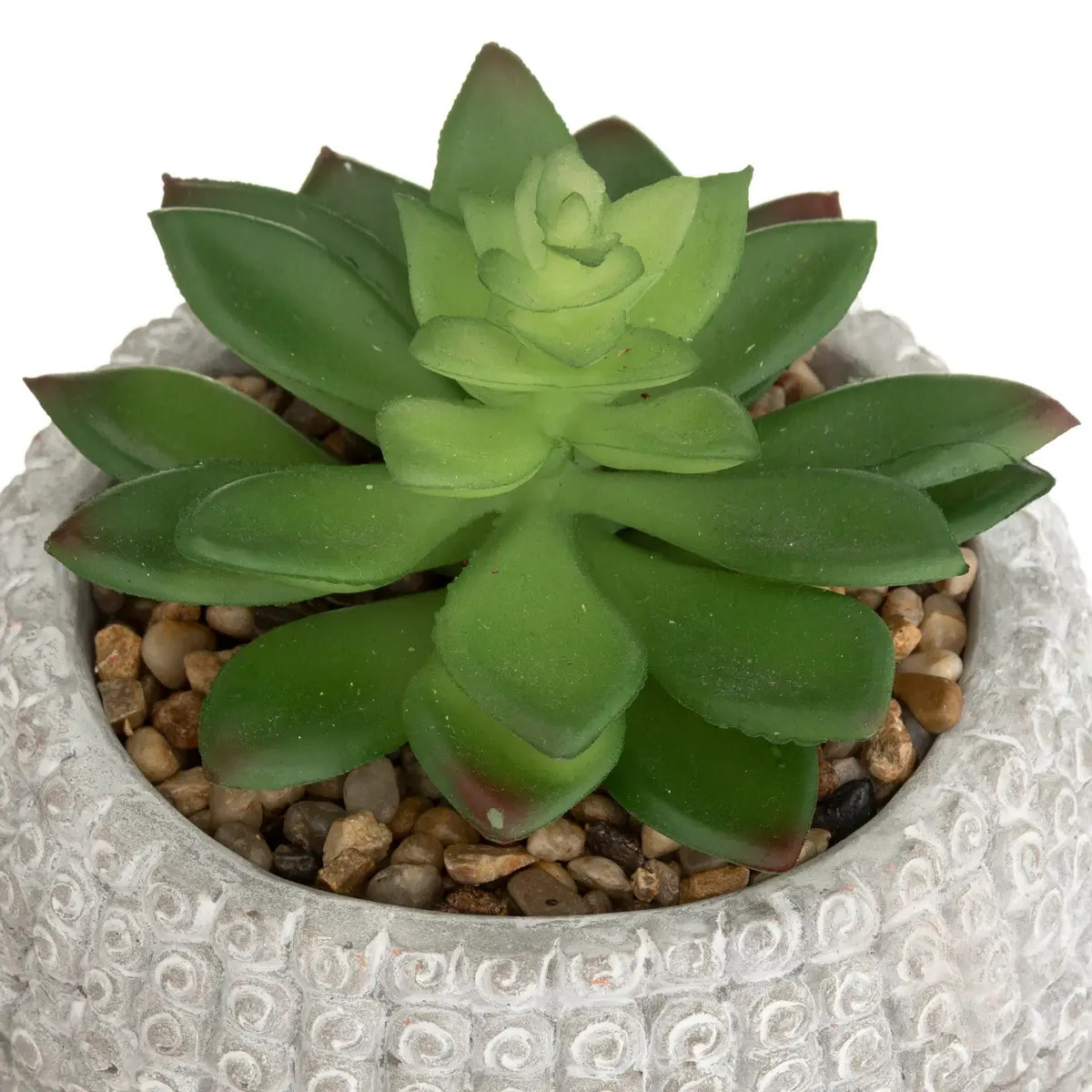 Plante artificielle Bouddha pot ciment H13,5cm