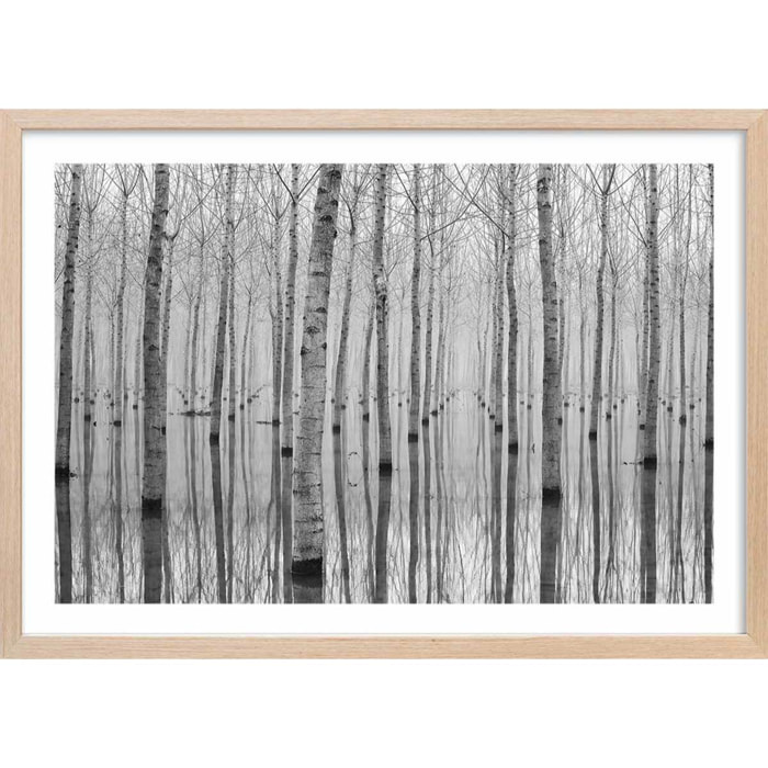 Affiche nature automnale pieds dans l'eau Affiche + cadre en bois - Chêne