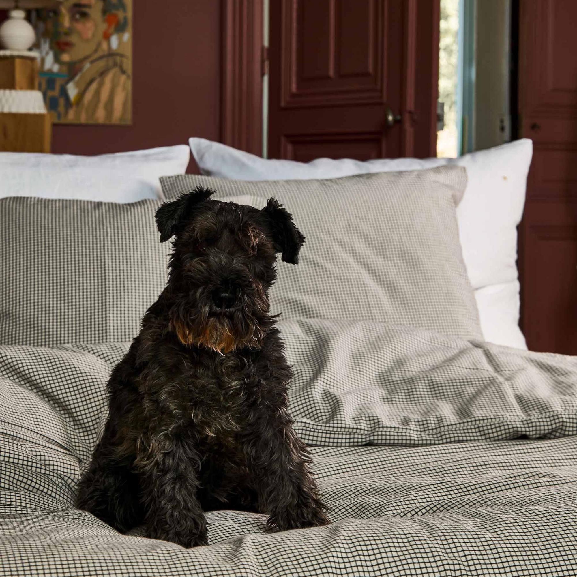 Housse de couette Gustave