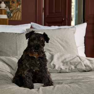 Housse de couette Gustave