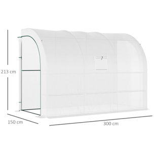 Serre de jardin adossée 2 étagères incluses porte fenêtre blanc