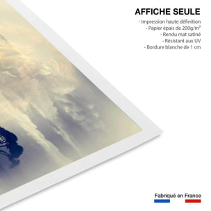 Affiche animaux lion and mount kilimanjaro Affiche seule