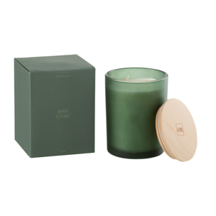 J-Line bougie parfumée Accords Essentiels - Bois Givré - vert - 52H