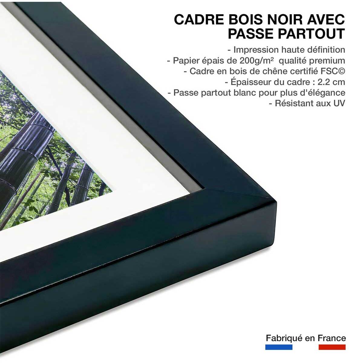 Affiche zen Bambous Geants Affiche sous cadre noir