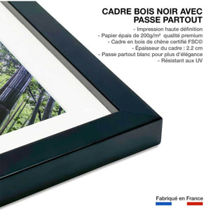 Affiche zen Bambous Geants Affiche sous cadre noir