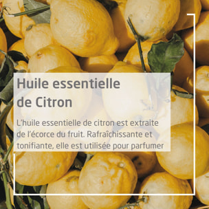 WELEDA - Duo Crème Mains et Ongles nourrissante au Citrus - Nourrit et répare - Certifié Natrue**- Tube 50 ml  x 2