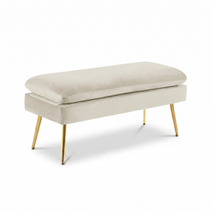 Panca Contenitore Imbottita in Effetto Velluto con Ampio Vano Portaoggetti, Seduta Confortevole e Gambe in Acciaio, Design Moderno per Camera da Letto, Ingresso e Soggiorno