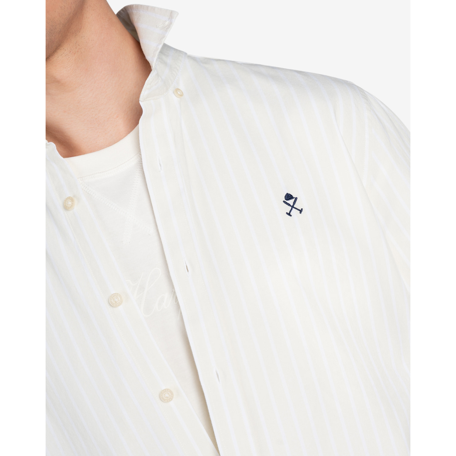 CAMISA PALOOZA