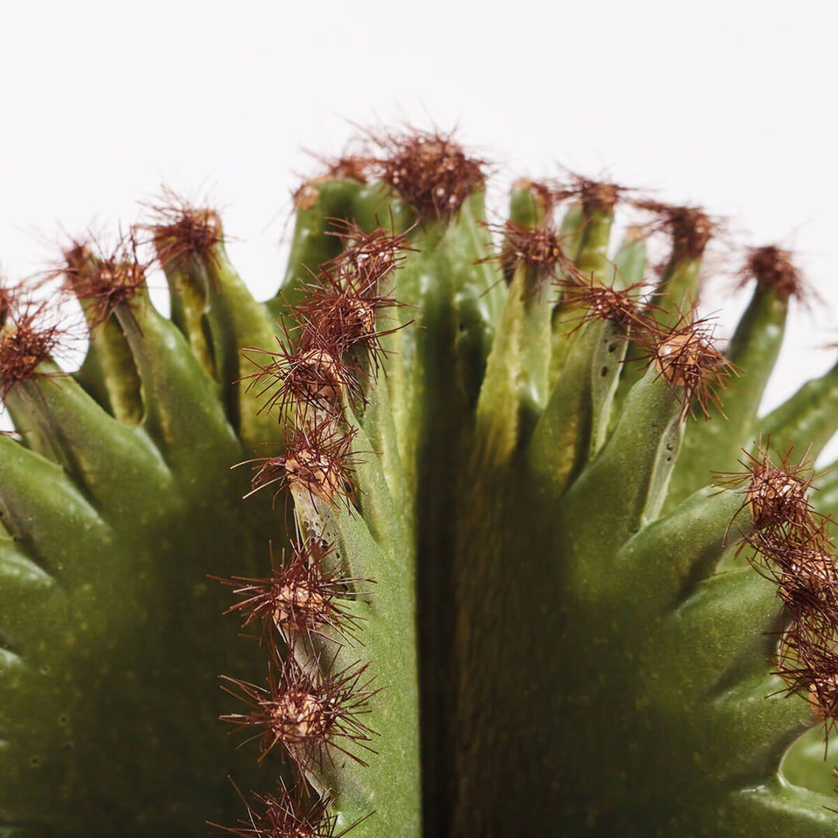 Cactus Artificial Euphorbia Suzannae 90 Cm