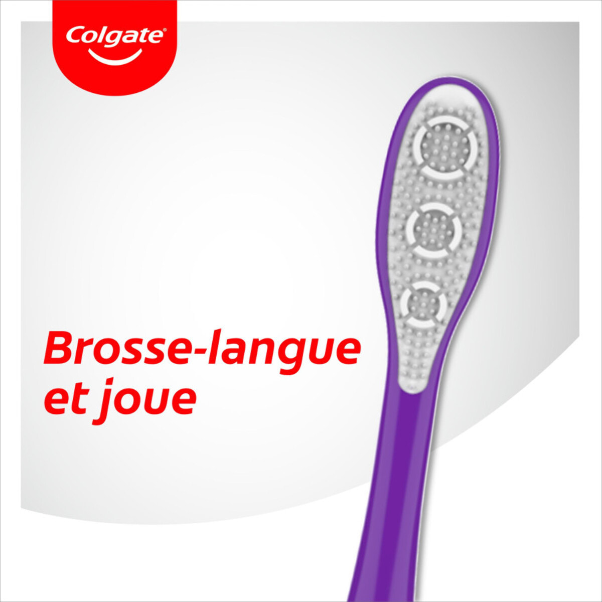 Pack de 12 - Colgate - Brosse à dents 360° Medium