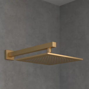 Douche de tête Universal rectangle Or brossé