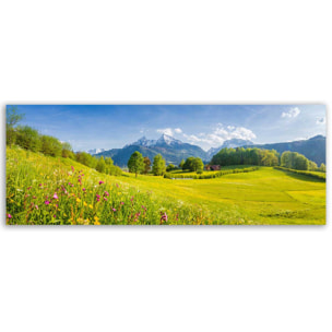 Tableau panoramique prairie alpine fleurs et montagnes Toile imprimée