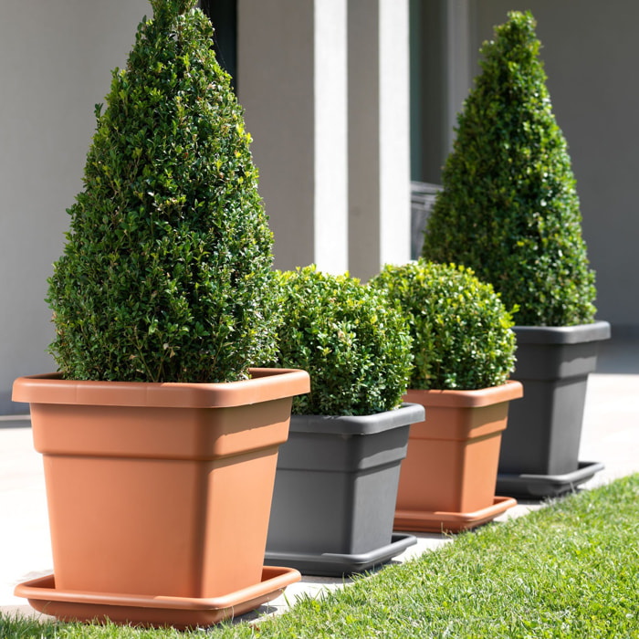 Maceta Quadro Vulcano de 32L Zanvic gris