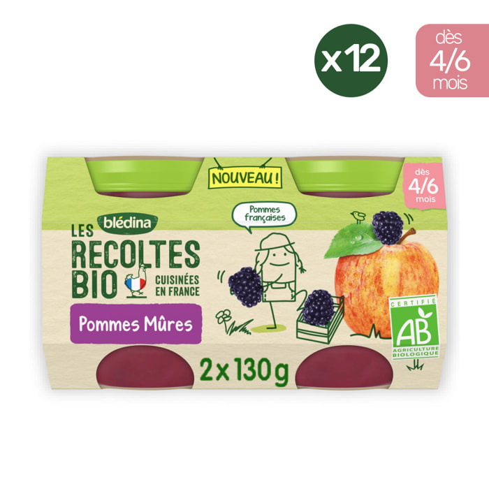 12x2 Petits Pots Pommes Mûres - Bledina Les Recoltes Bio - Dès 6 mois