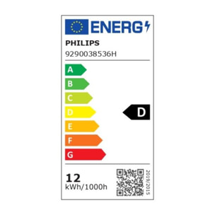 Ampoule LED connectée PHILIPS HUE W&C E27 100W