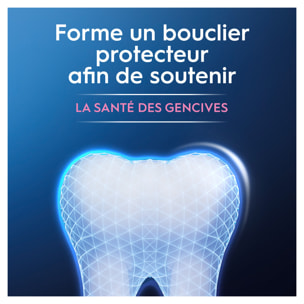 Oral B Dentifrice PROFESSIONAL Protection Gencive 75ml