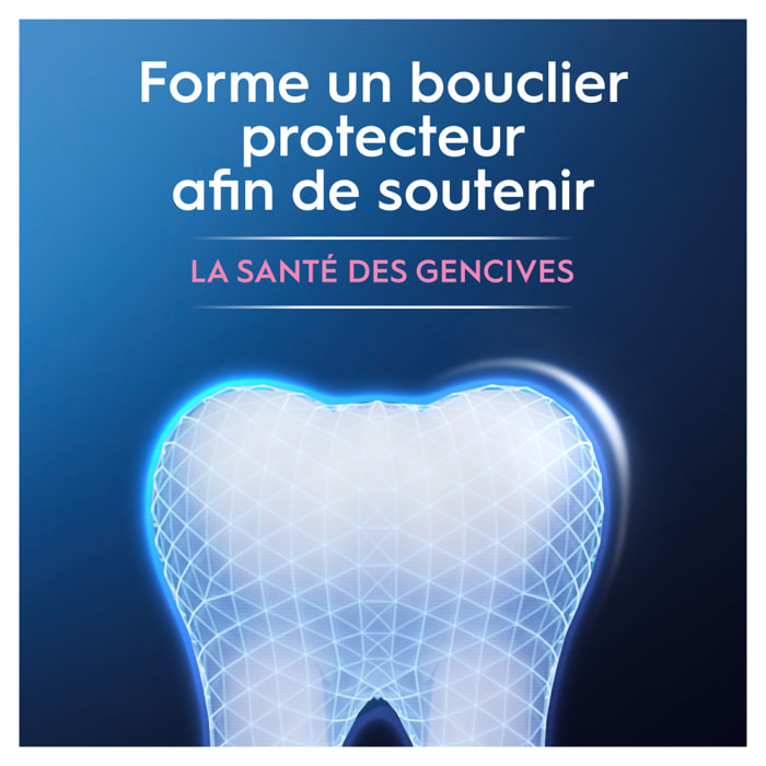 Oral B Dentifrice PROFESSIONAL Protection Gencive 75ml
