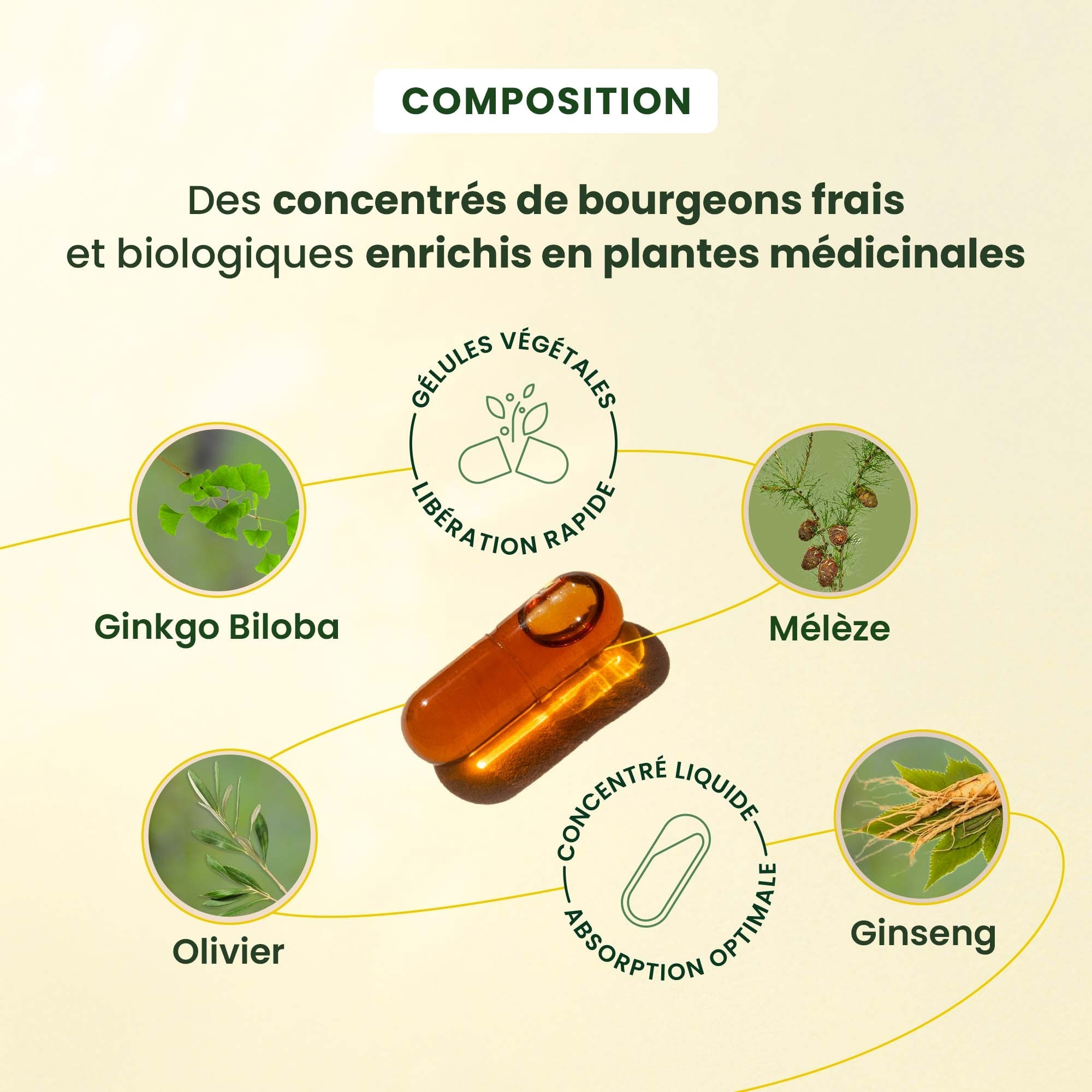 Herbalgem- Pack de 2 Cognition Bio – Concentration & Mémoire - 30 GELULES