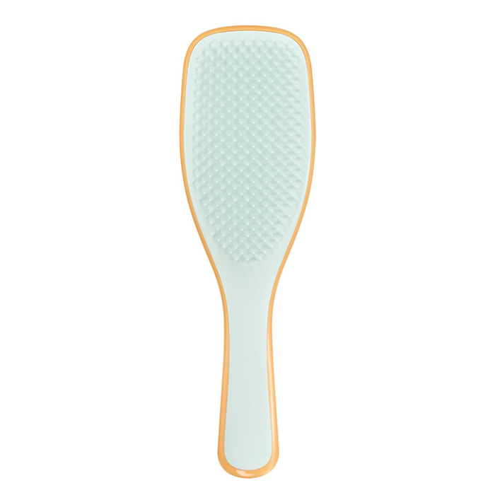 The Ultimate Detangler - Brosse à Cheveux Sweet Orange & Ice Blue