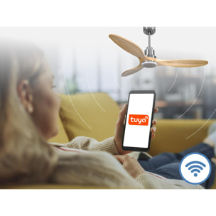 Ventilateur de plafond Réversible  Thermostat Dimmable Wifi Moteur à courant continu Toits en pente Télécommande Lumière à trois tons Hypersilence Mémoire