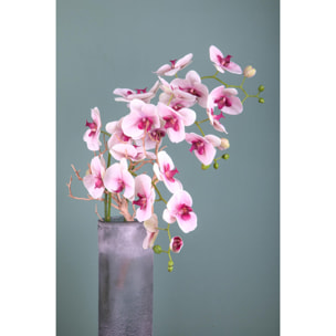 Phalaenopsis. Altezza 95 Cm - Pezzi 1 - 17X95X10cm - Colore: Bianco - Bianchi Dino - Fiori Artificiali