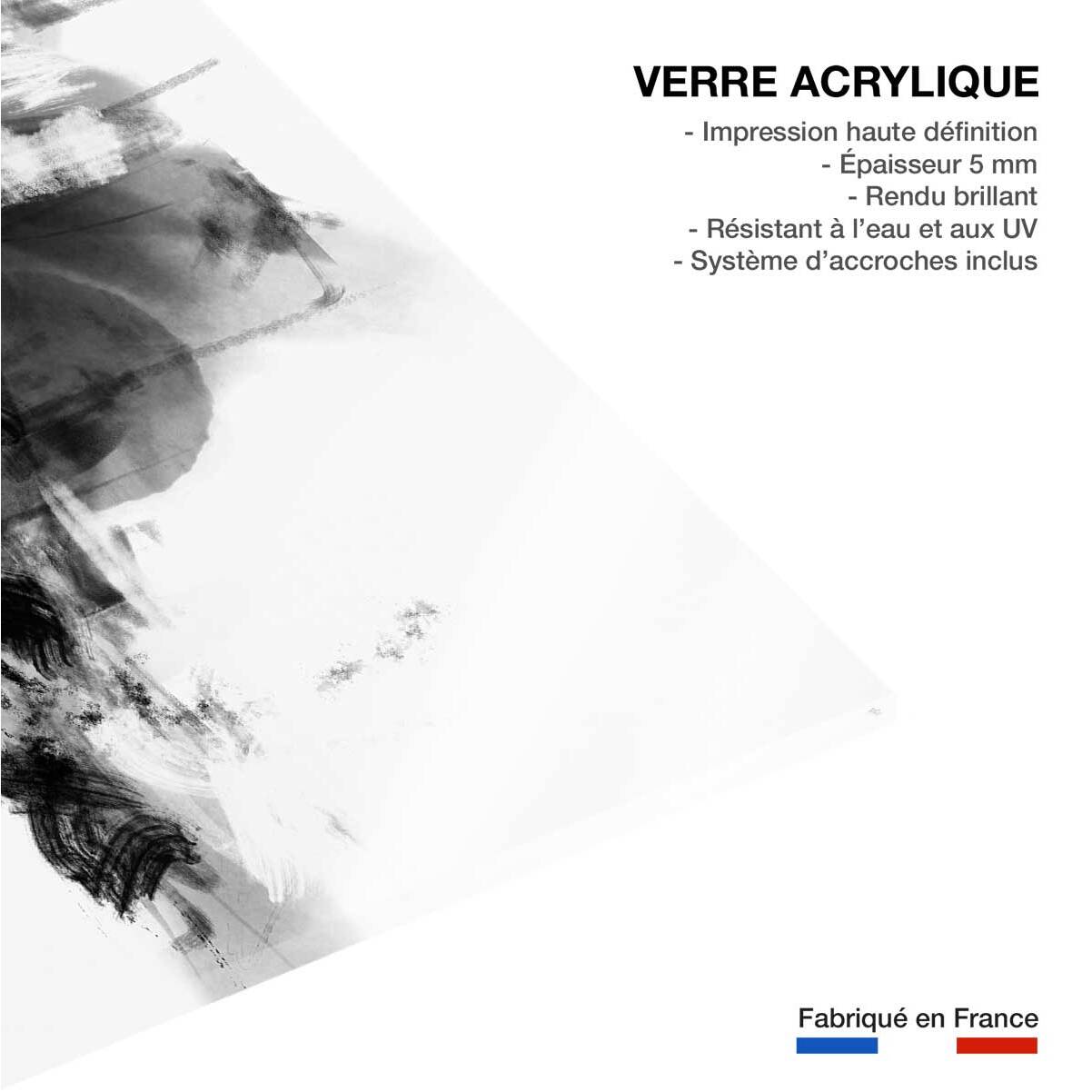 Tableau contemporain wild play Tableau plexiglas