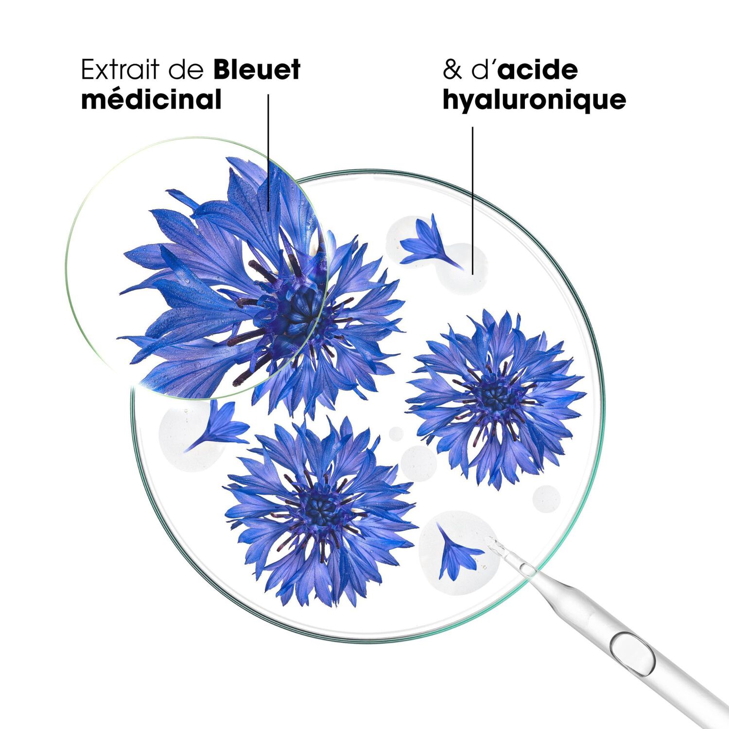 Bleuet Bio - Eau Micellaire 3-en-1 - Visage, Yeux