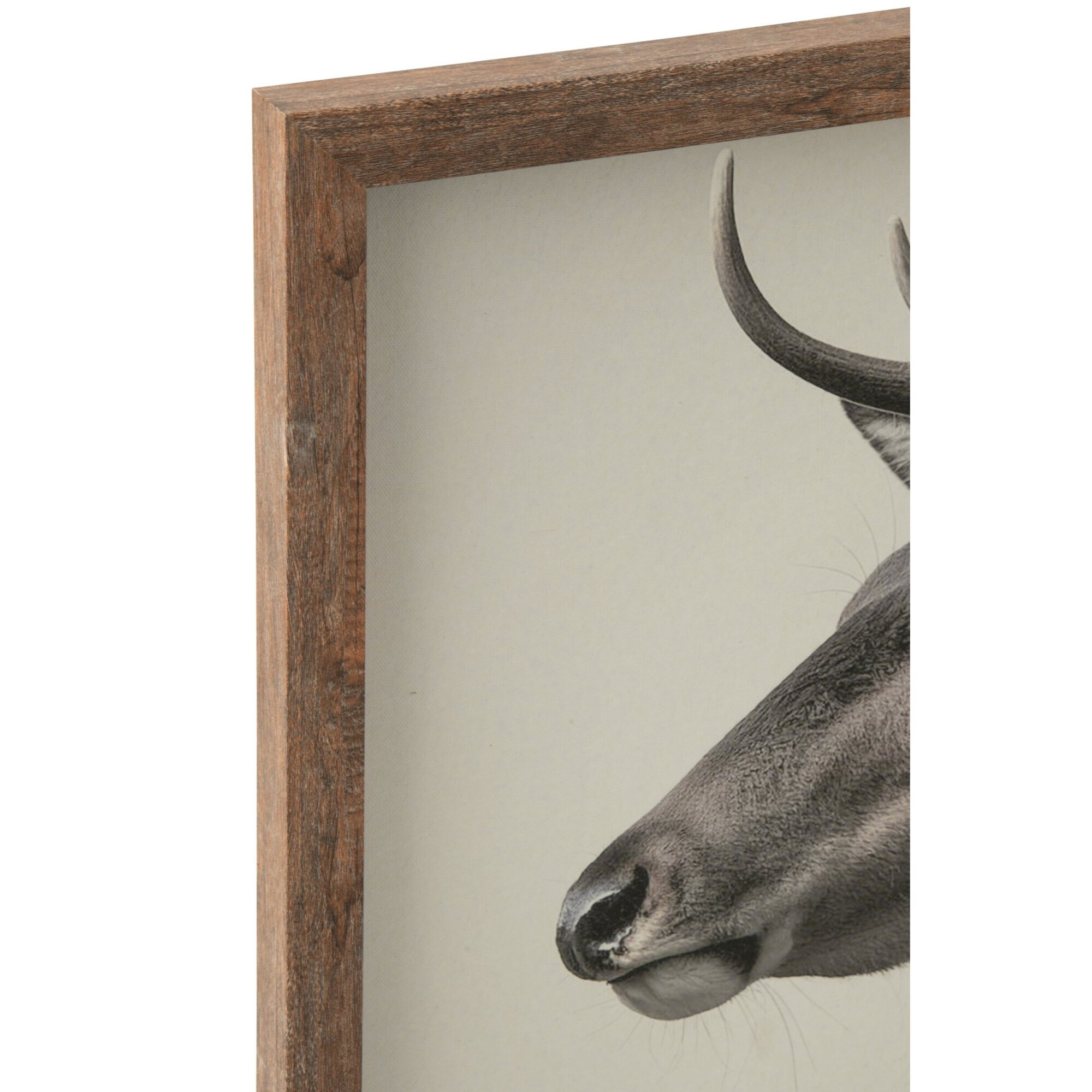 J-Line tableaux cerf - MDF - gris/marron - assortiment de 2