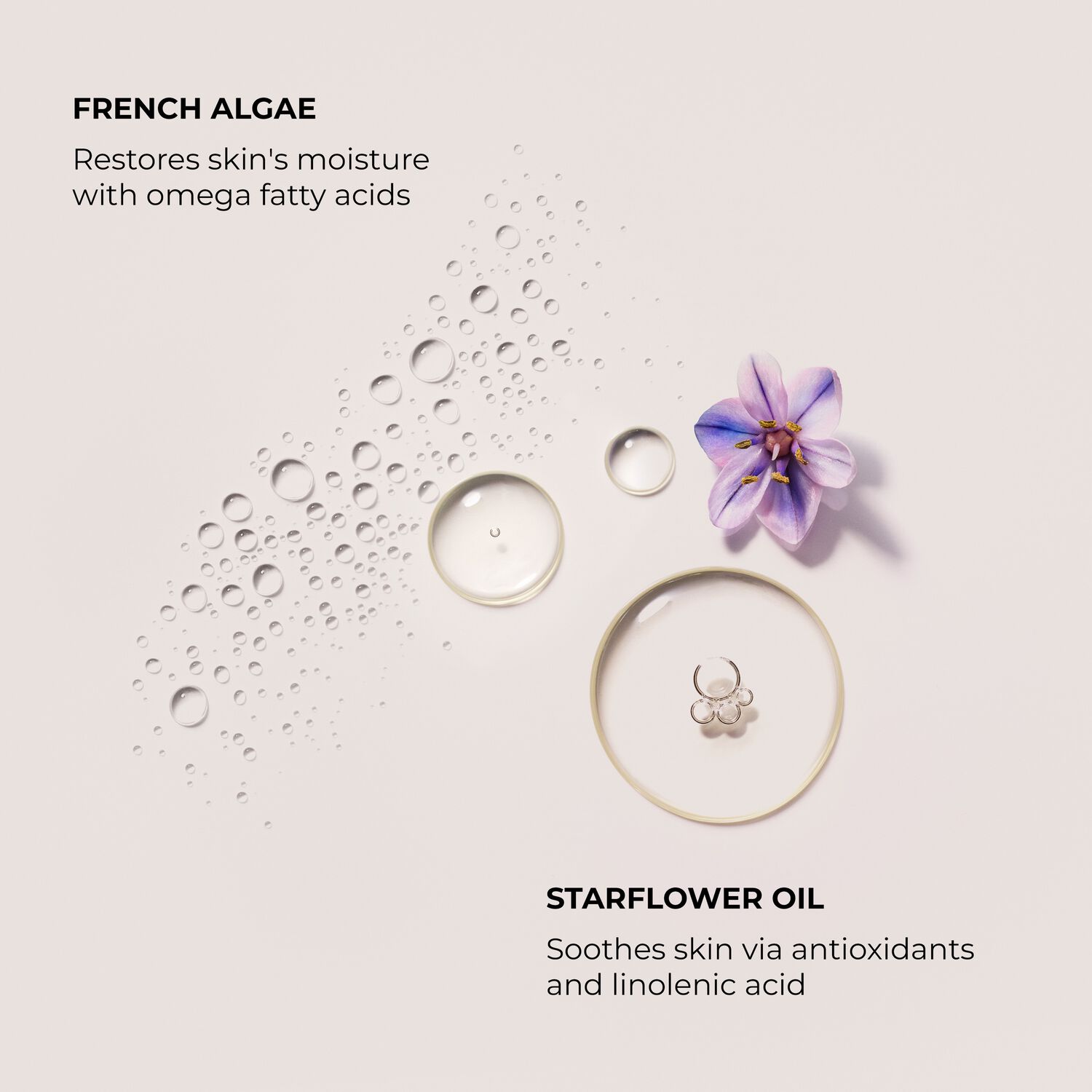 Soufflé Hand Cream Duo - Coffret Crèmes Mains Ambre-Vanille et Amande-Coco 2x55ml