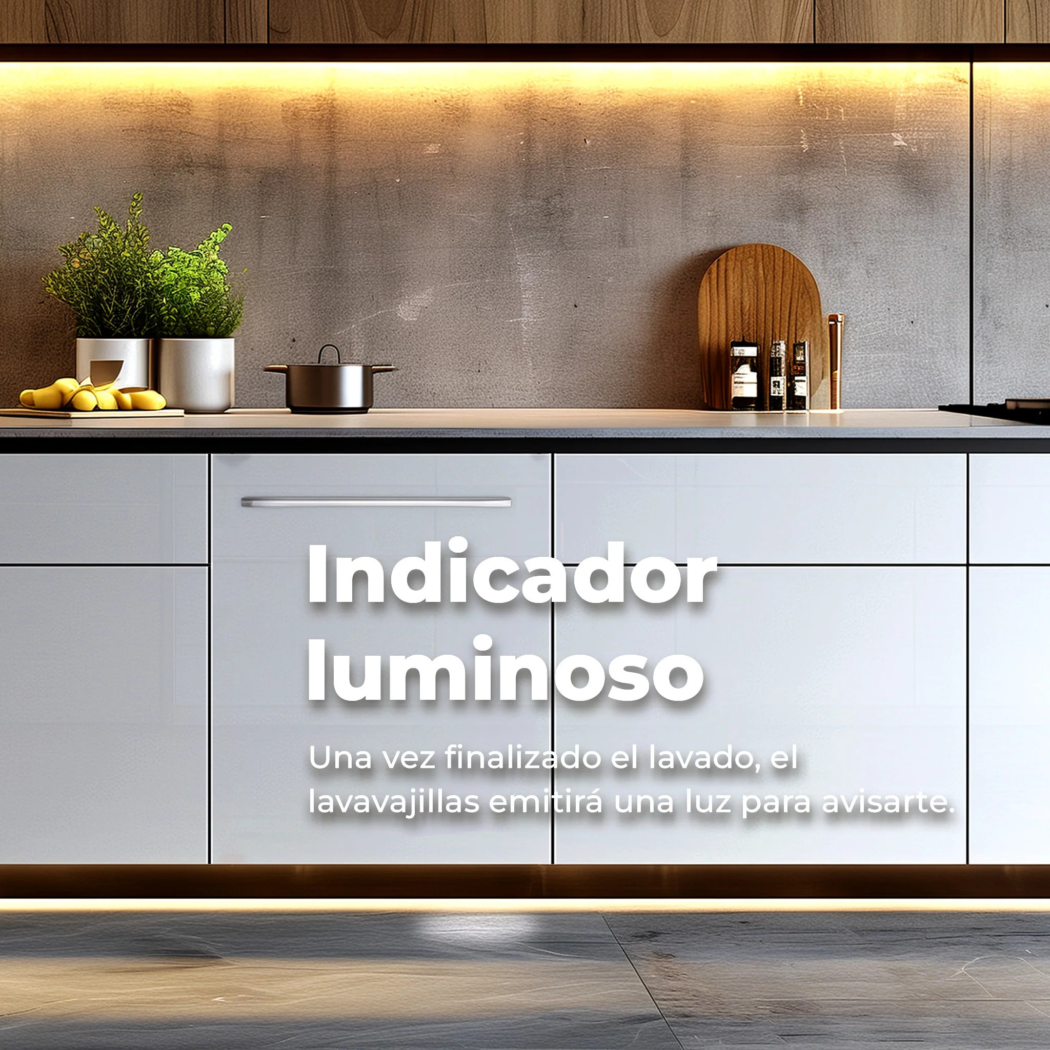 Lavavajillas integrable EVVO Di.2 Pro, 14 Cubiertos, Clase Energética C, 8 Programas, Ancho 600 mm