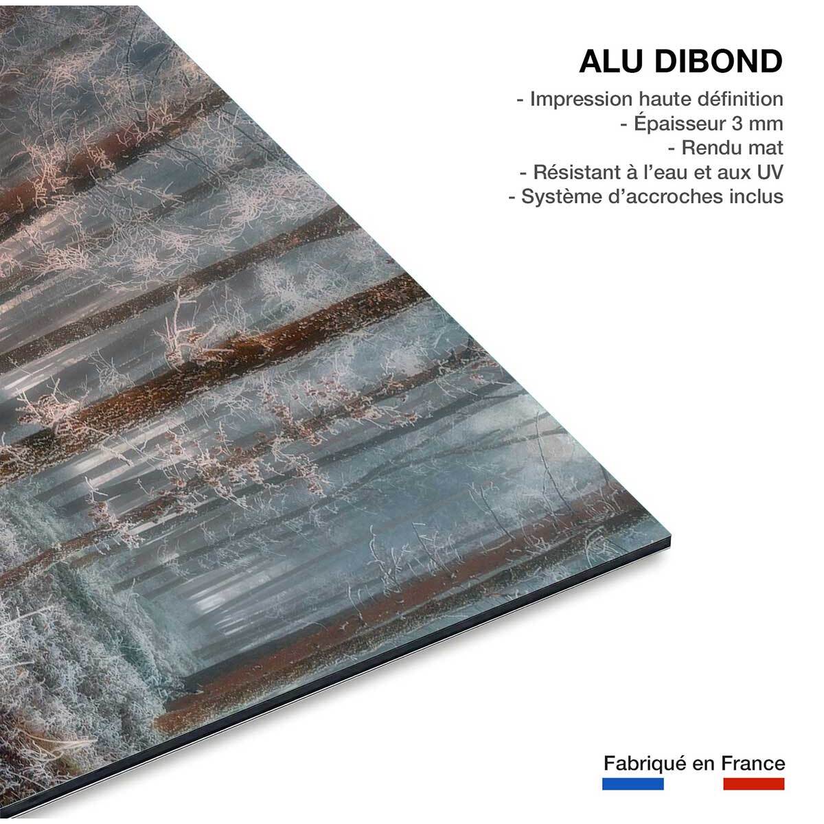 Tableau paysage de glace et de feu Tableau alu Dibond