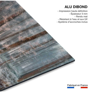 Tableau paysage de glace et de feu Tableau alu Dibond