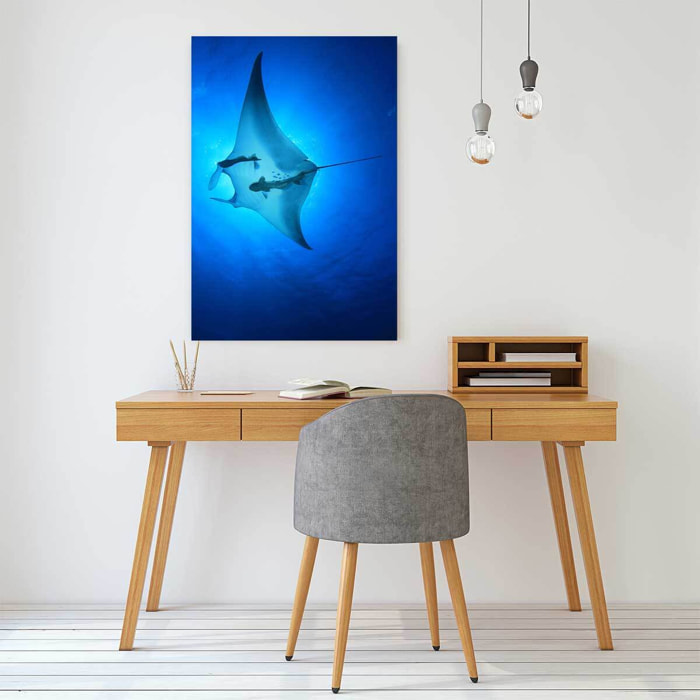 Tableau animaux marins raie manta Toile imprimée