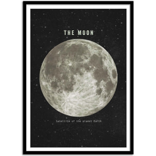 Affiche - The moon - Terry Fan