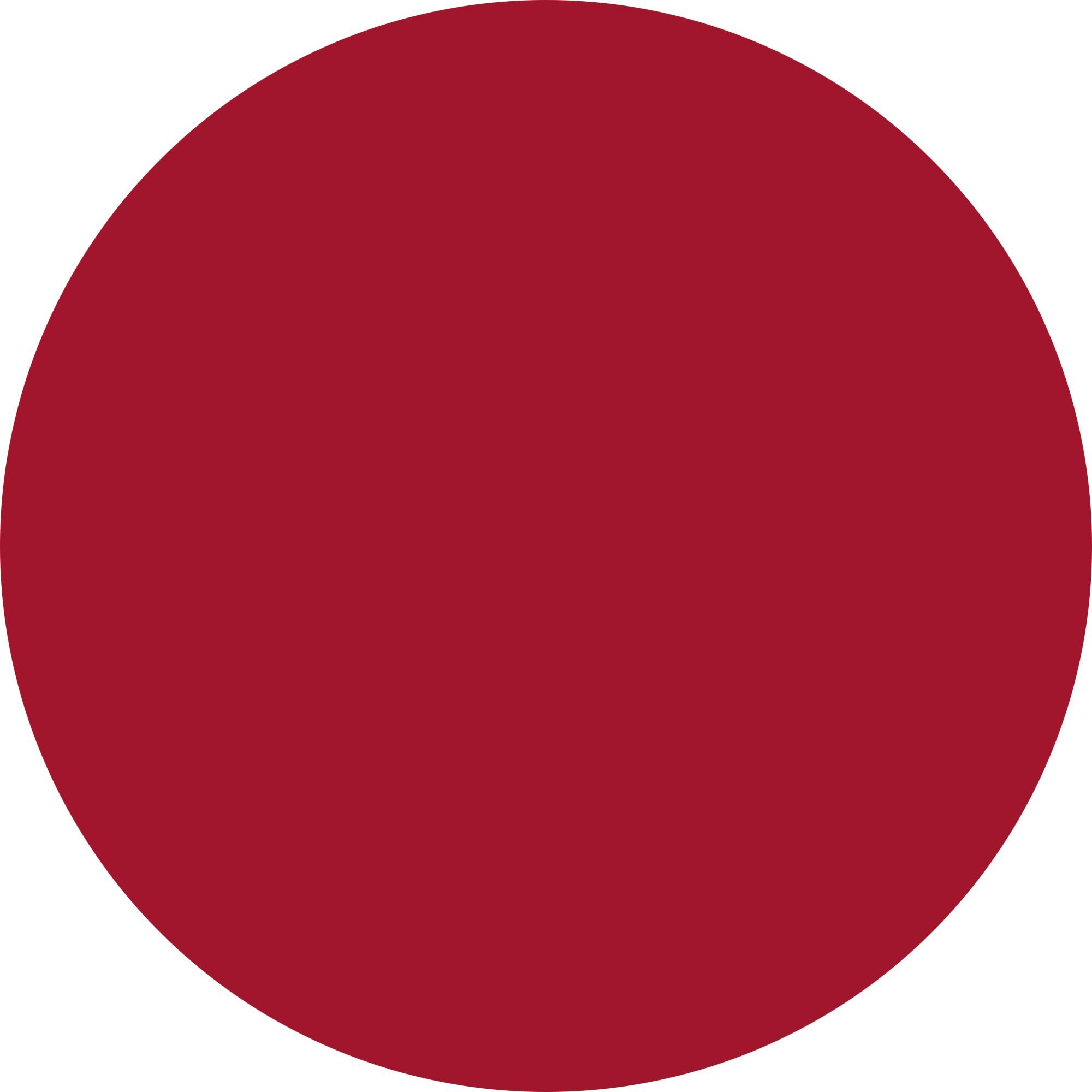 BLURRING TOUCH – POWDERY LIPSTICK Rossetto effetto velluto con applicatore cushion