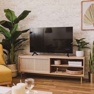 Mueble tv oporto 140x50cm